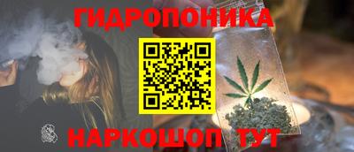 дмт Аргун