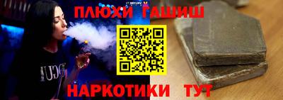 дмт Аргун
