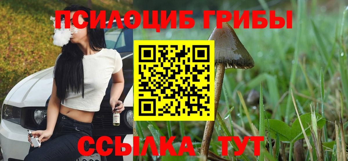 Псилоцибиновые грибы прущие грибы  Галлюциногенные грибы Magic Shrooms  Верхний Уфалей  Вход с VPN 